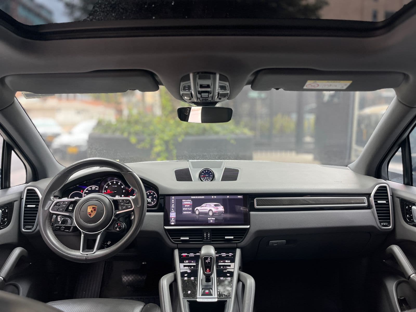 Porsche Cayenne Modelo 2020 13
